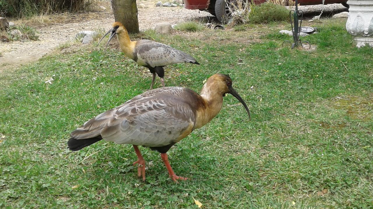 Alojamento Lemu Hue San Carlos de Bariloche